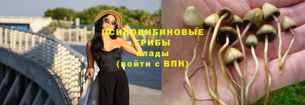 твердый Вязники