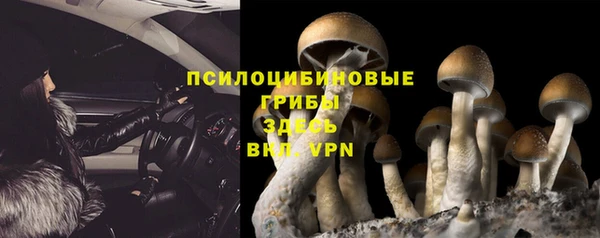 твердый Вязники