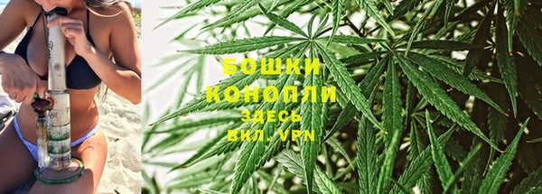 прущий лед Вязьма