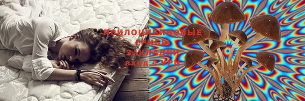 ешки Волосово
