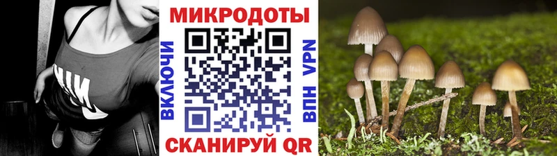 купить наркоту  Еманжелинск  Псилоцибиновые грибы ЛСД 